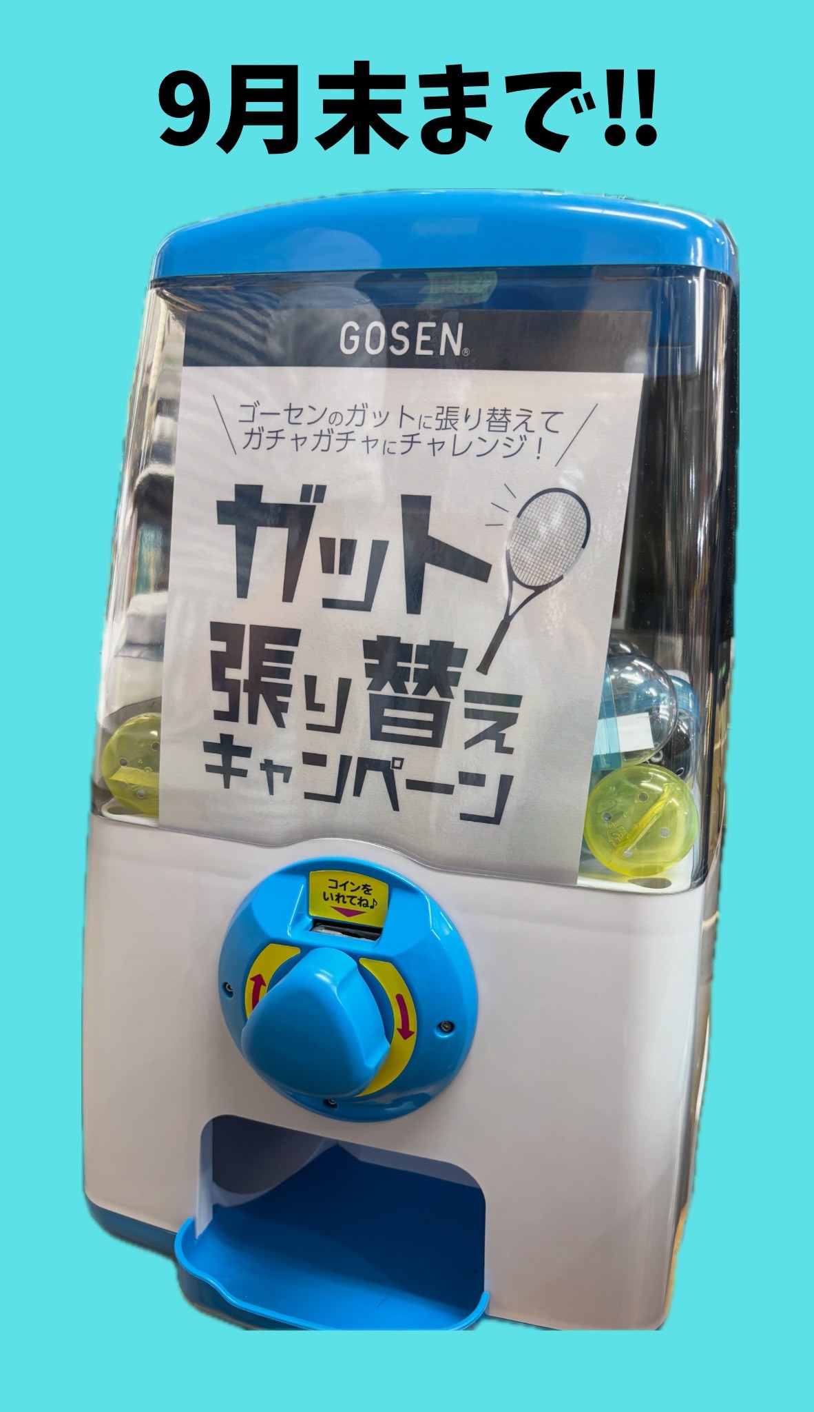 GOSEN ガチャガチャキャンペーン